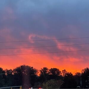 Meet your Posher, Jaylyn